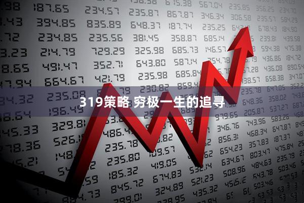 319策略 穷极一生的追寻